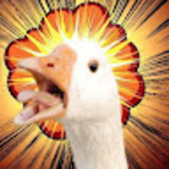 ryangoose13